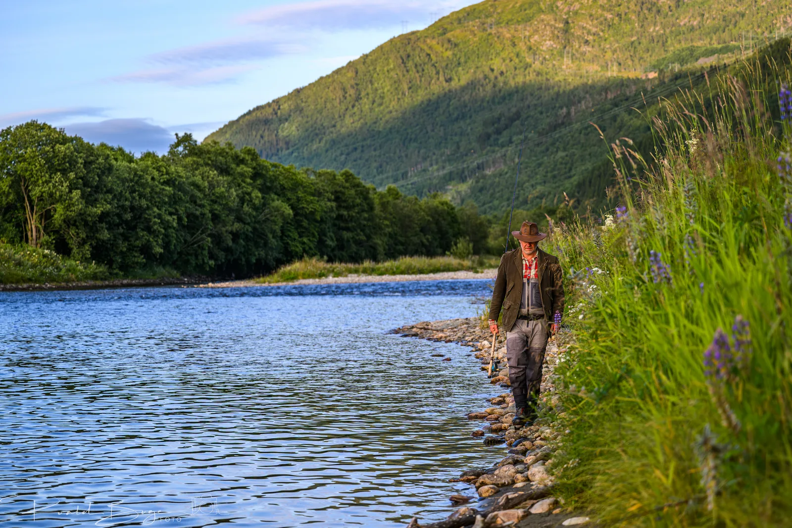 River landscape with lupins